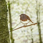 Metalbird
Roodborst